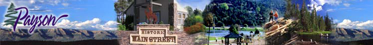 Town of Payson e-Government Services