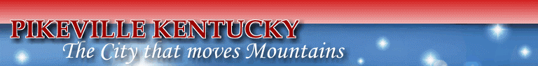 Click here to return to the E-Government Services start page