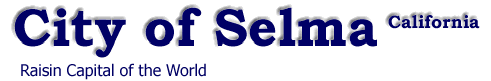 Click here to return to the E-Government Services start page