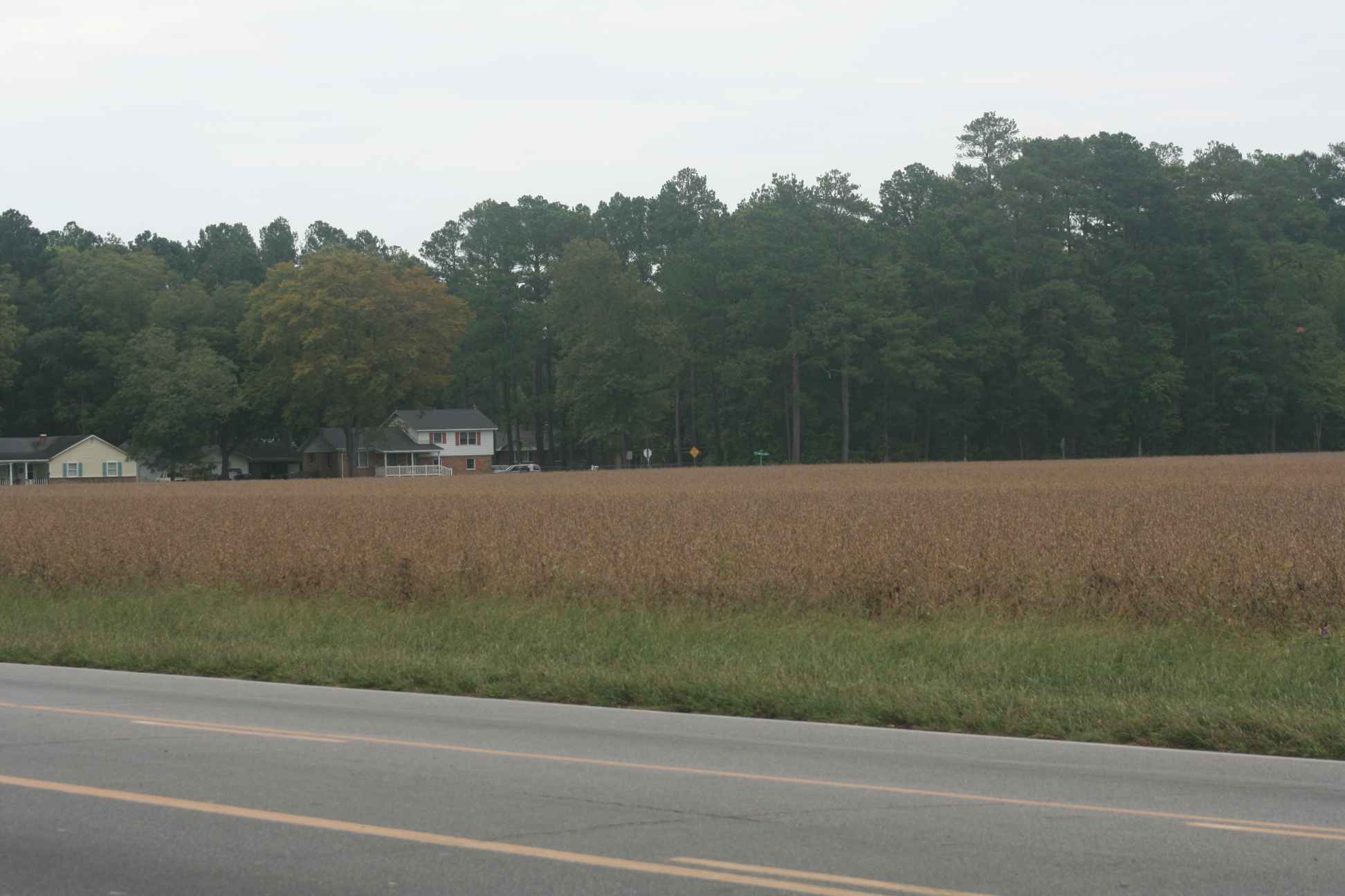 Robinson Property 1