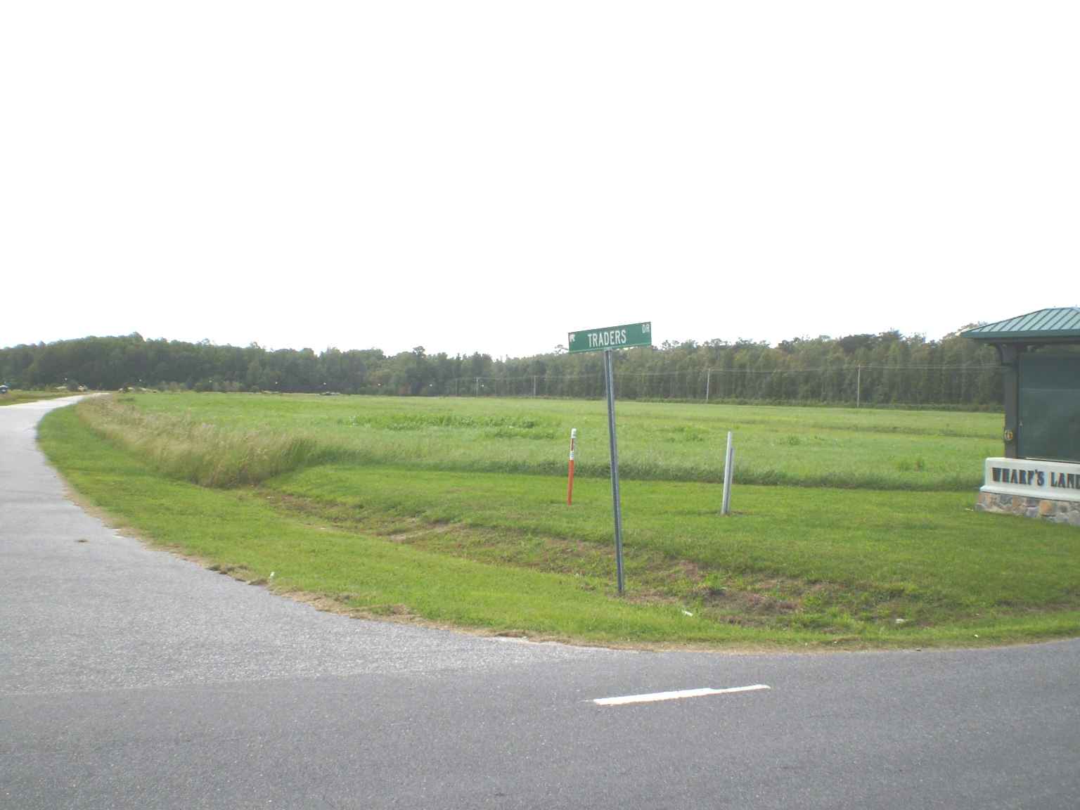 Culpepper and Traders 1