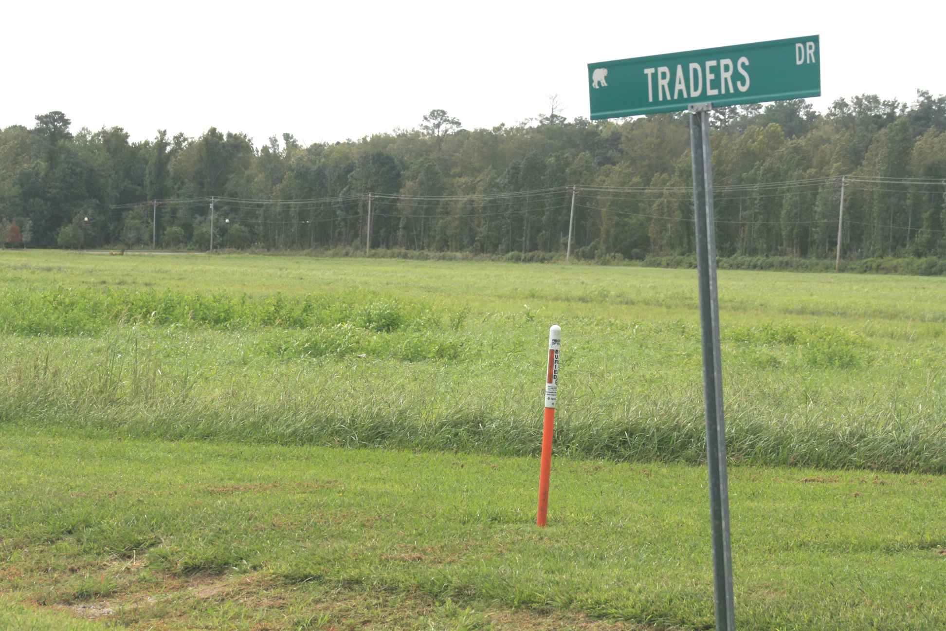 Culpepper and Traders 2
