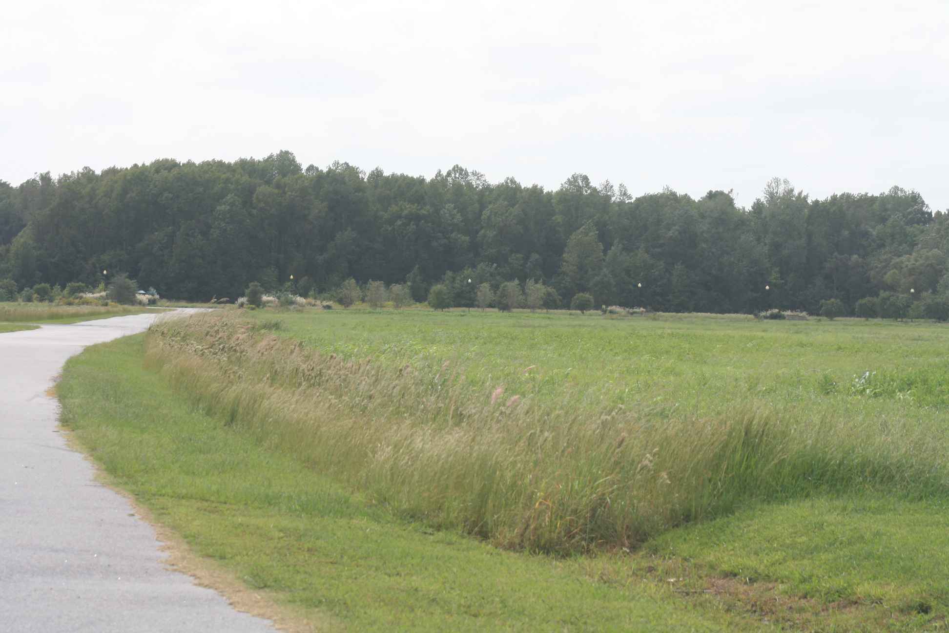 From Culpepper Road 3