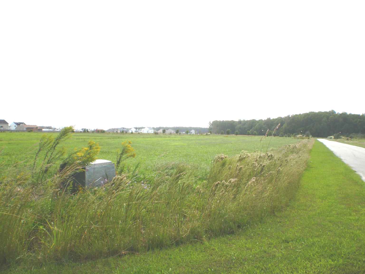 From Culpepper Road 4