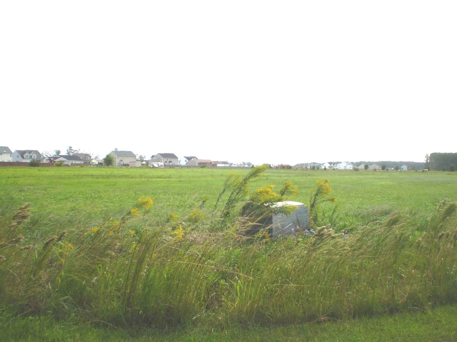 From Culpepper Road 5