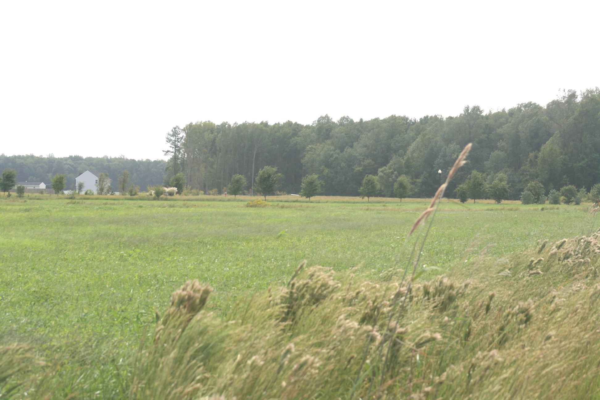 From Culpepper Road 6