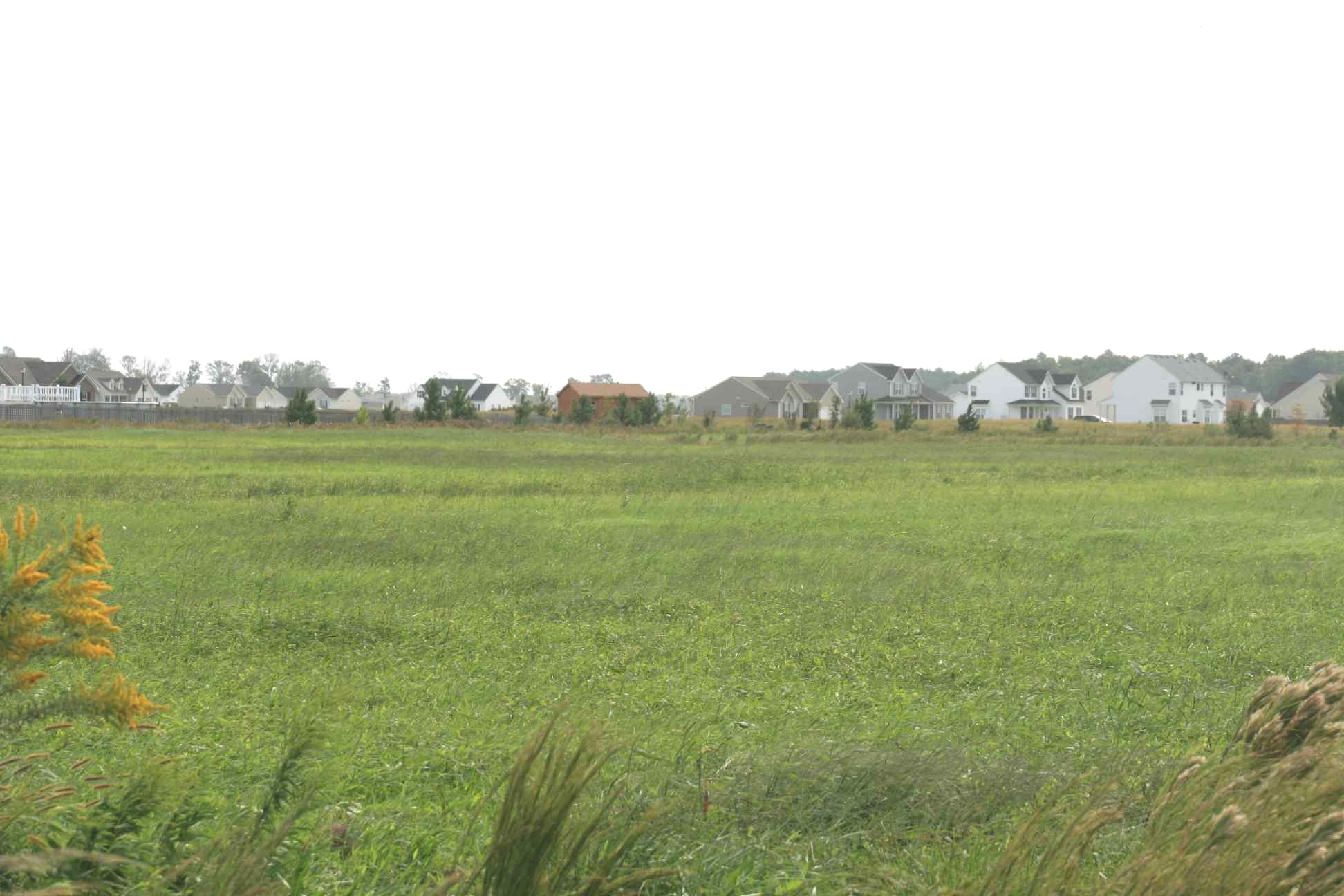 From Culpepper Road 7